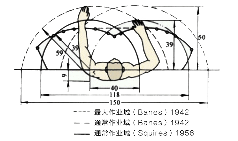 水平面內手臂活動及操作范圍 水平面內手臂活動及操作范圍